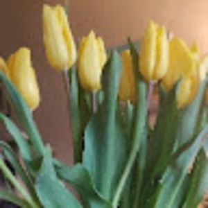 Meet your Posher, Kyle